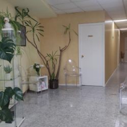 Sala de espera del Centro psicotécnico en Tineo