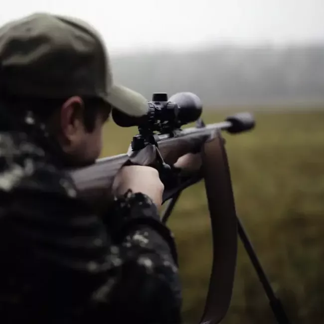 Renovar permiso de armas